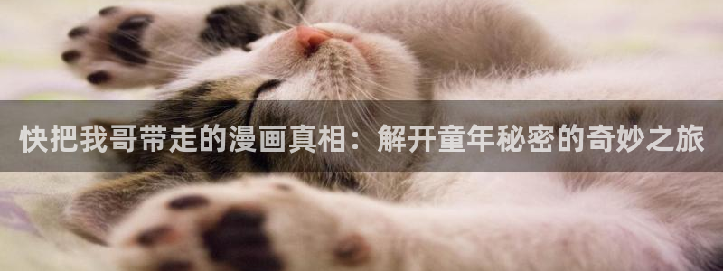 喵趣漫画看不了