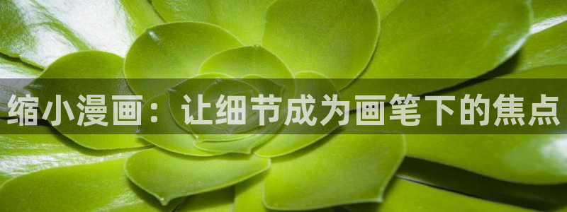 喵趣漫画网