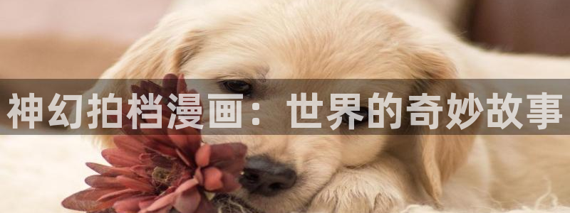 喵趣漫画app复活版